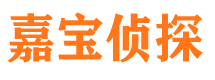 杨凌寻人公司